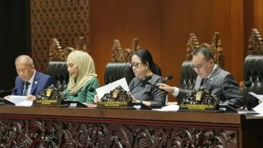 刚果民主共和国在全体会议上的领导