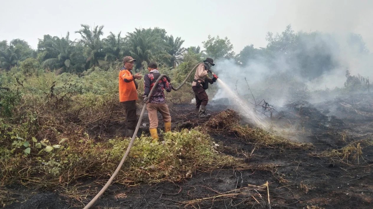 南苏门答腊地区警察努力加强巴尼亚辛的停电并冷却森林和土地火灾