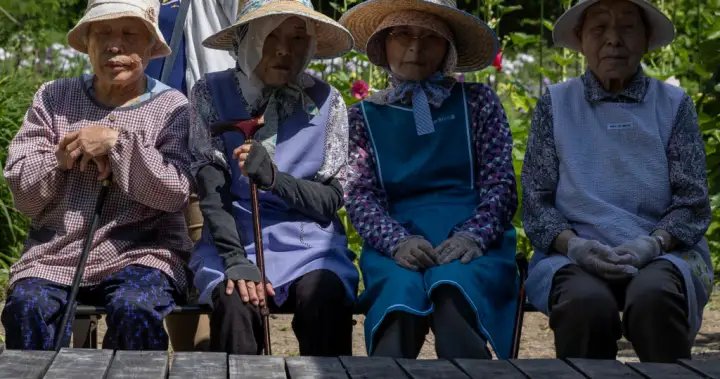 日本目前全国100岁以上老人超过10万